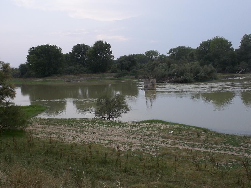 La Palmera De La Insula Alcala de Ebro Exterior foto