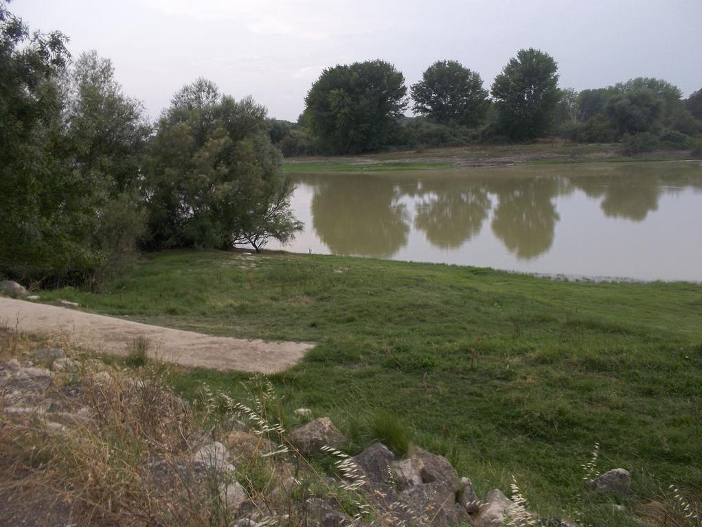 La Palmera De La Insula Alcala de Ebro Exterior foto