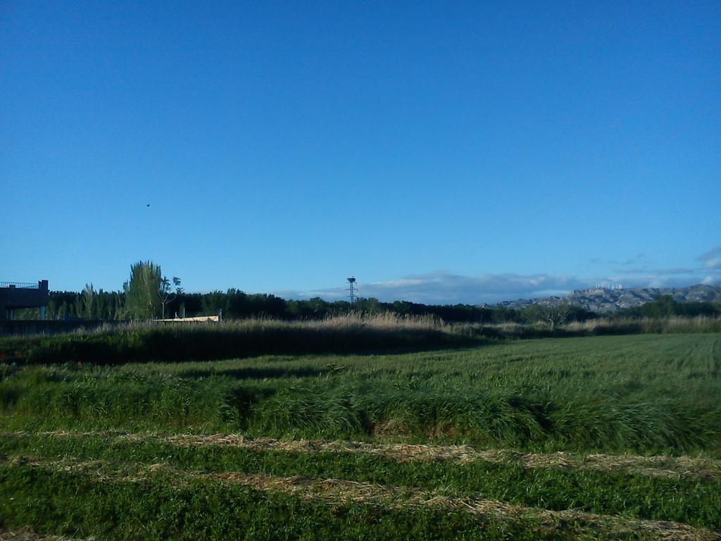 La Palmera De La Insula Alcala de Ebro Exterior foto